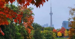 Best Fall Views in Toronto Downtown