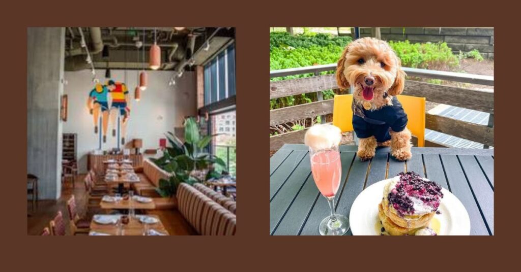 Dog Friendly Restaurants