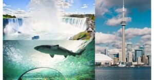 Top 5 Places to Visit in Toronto