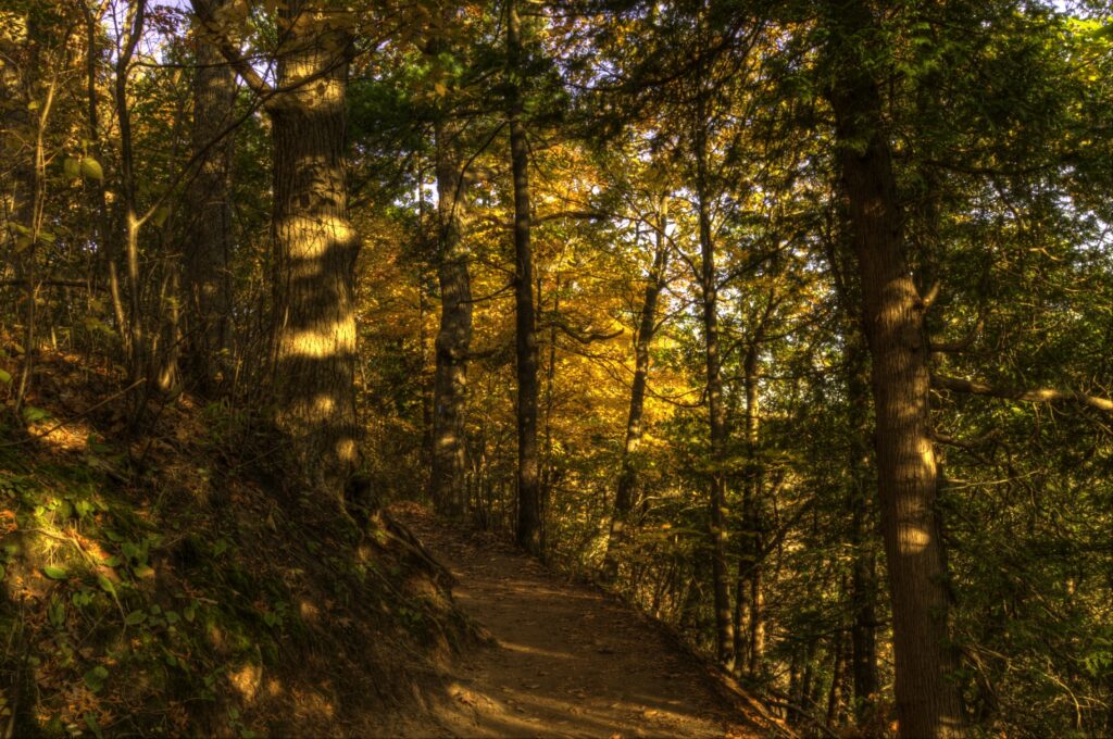 Trail to Dundas Peak