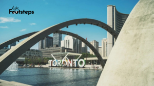 Must Watch Toronto's top bridges